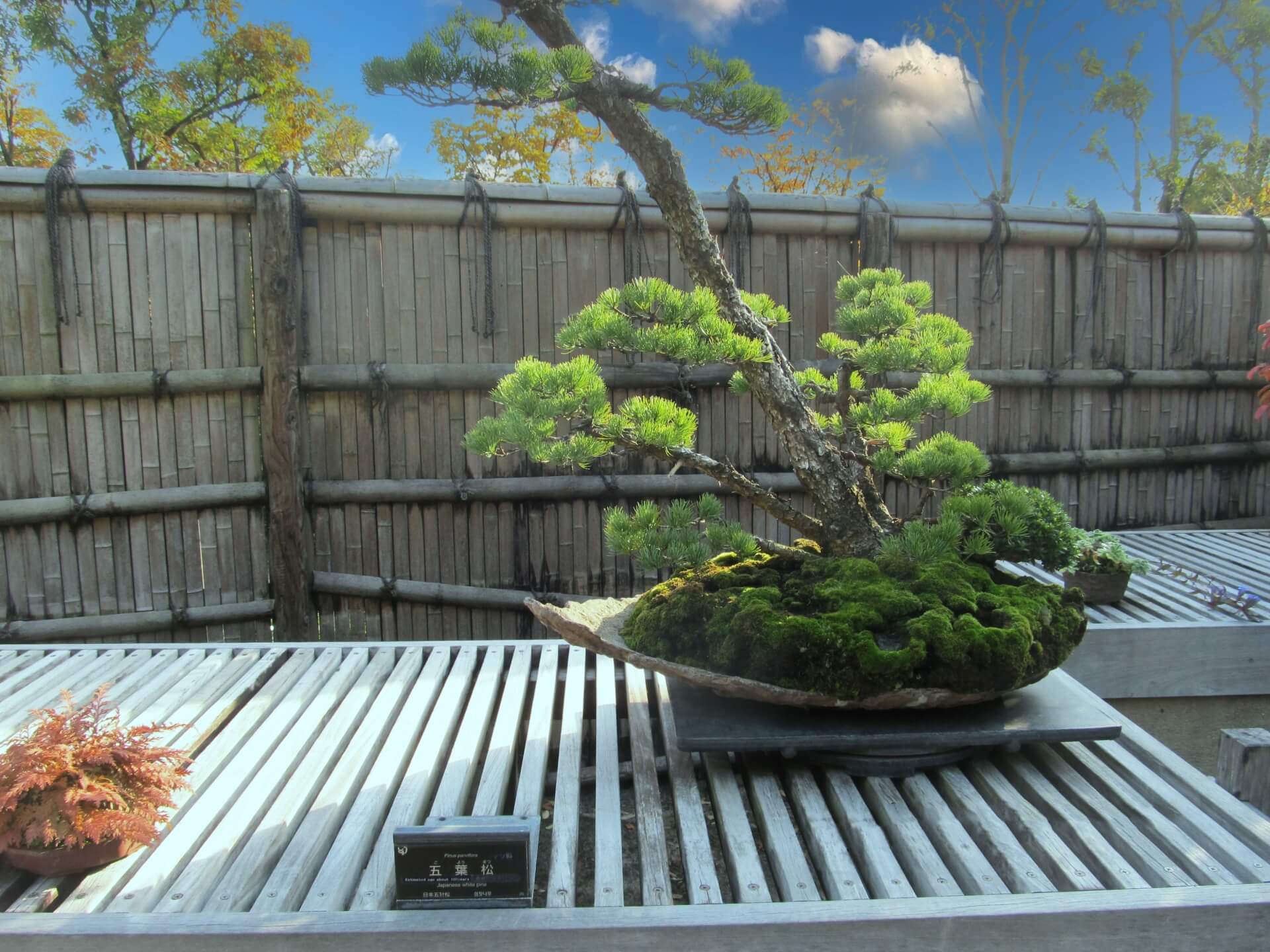 Let’s write Japanese icons in Kanji. 日本語まとめサイト